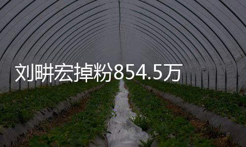 劉畊宏掉粉854.5萬(wàn)事件深度解析
