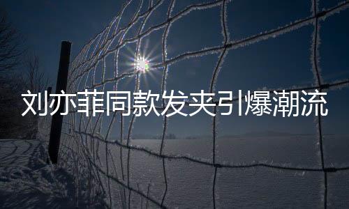 劉亦菲同款發(fā)夾引爆潮流風(fēng)暴，銷(xiāo)售火爆
