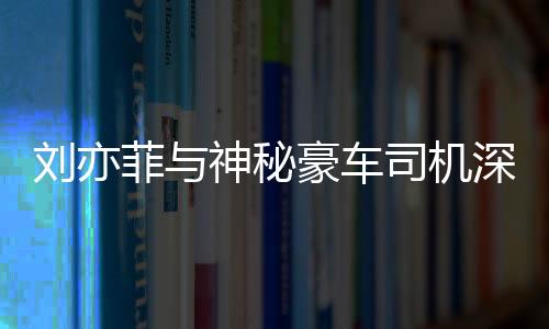 劉亦菲與神秘豪車司機深夜聚餐，事件解讀與深度分析