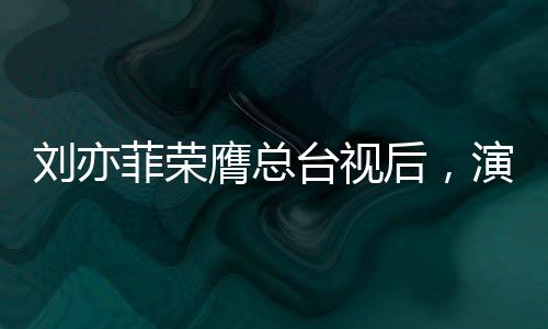 劉亦菲榮膺總臺視后，演藝巔峰的璀璨時刻