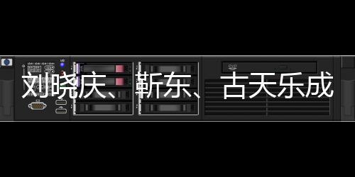 劉曉慶、靳東、古天樂成AI換臉受害者，揭示數(shù)字時代影像安全新挑戰(zhàn)