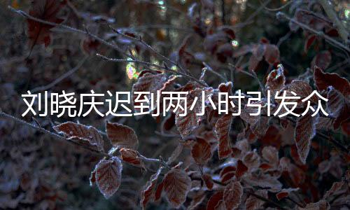 劉曉慶遲到兩小時引發(fā)眾人關注，現場情況及影響探究