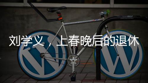 劉學義，上春晚后的退休計劃與未來展望