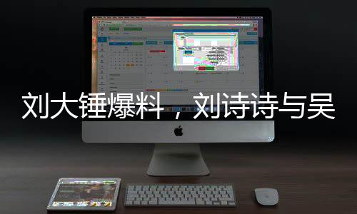 劉大錘爆料，劉詩詩與吳奇隆的真實狀態(tài)揭秘