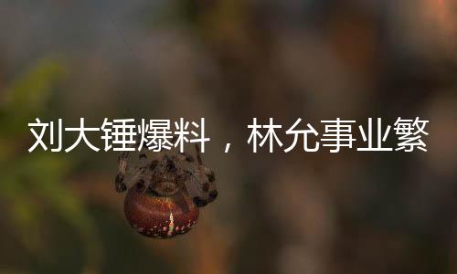 劉大錘爆料，林允事業(yè)繁忙，無暇顧及懷孕事宜