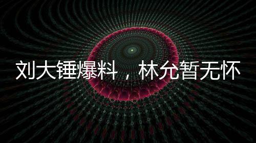 劉大錘爆料，林允暫無懷孕計劃