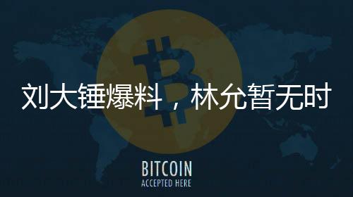 劉大錘爆料，林允暫無時間懷孕