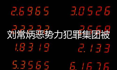 劉常炳惡勢力犯罪集團(tuán)被成功打擊，正義彰顯法治力量