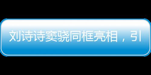 劉詩詩竇驍同框亮相，引發(fā)粉絲熱議