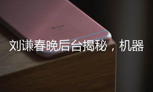 劉謙春晚后臺(tái)揭秘，機(jī)器人碰瓷魔術(shù)大師背后的故事