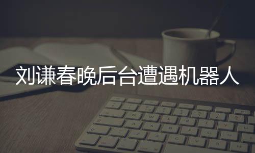 劉謙春晚后臺遭遇機器人碰瓷事件揭秘
