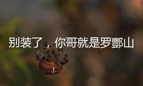 別裝了，你哥就是羅酆山鬼王。