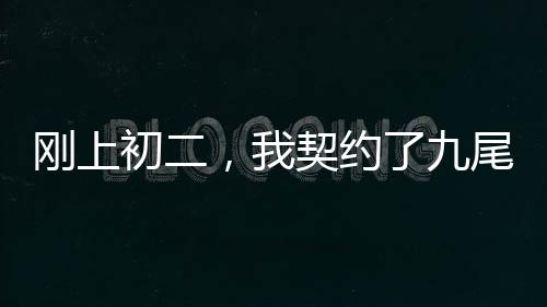 剛上初二，我契約了九尾妖狐