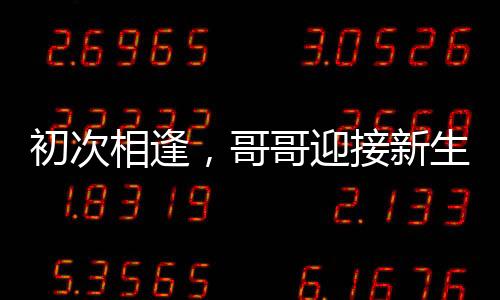 初次相逢，哥哥迎接新生的妹妹