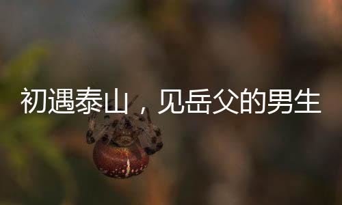 初遇泰山，見岳父的男生們開始坐立不安