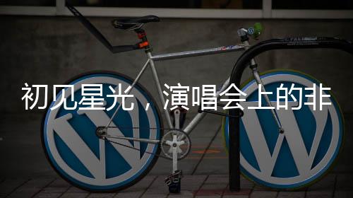 初見星光，演唱會(huì)上的非傳統(tǒng)演員尋覓之旅
