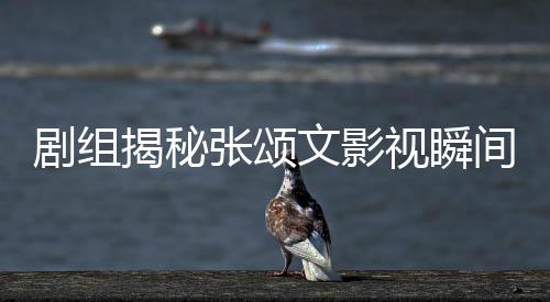 劇組揭秘張頌文影視瞬間，白花的消失背后的故事