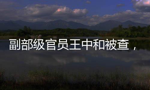 副部級官員王中和被查，反腐風暴再掀波瀾