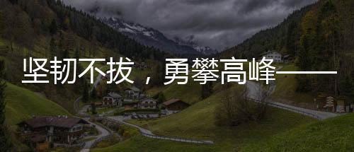 堅(jiān)韌不拔，勇攀高峰——記一位985女生五年十戰(zhàn)六級(jí)終上岸的奮斗歷程