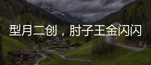 型月二創(chuàng)，肘子王金閃閃破防了
