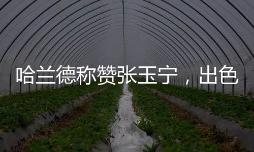 哈蘭德稱贊張玉寧，出色的射手