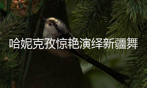 哈妮克孜驚艷演繹新疆舞，舞韻傳承顯魅力