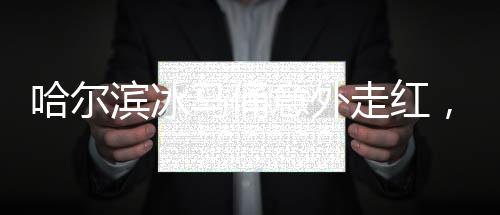 哈爾濱冰馬俑意外走紅，竟被游客盤成光頭——關(guān)于文化與互動(dòng)的思考