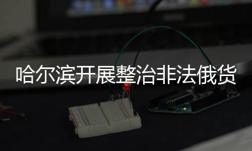 哈爾濱開展整治非法俄貨行動全面規(guī)范市場秩序