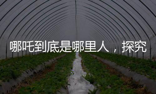 哪吒到底是哪里人，探究古代神話人物的背景與起源