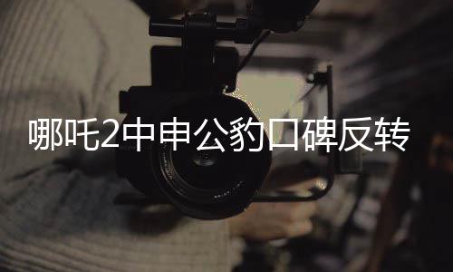 哪吒2中申公豹口碑反轉(zhuǎn)，深度探究角色魅力