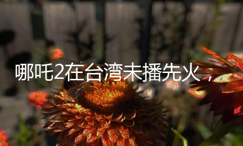 哪吒2在臺(tái)灣未播先火，期待與熱議交織的動(dòng)畫電影新篇章