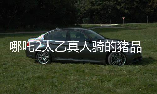 哪吒2太乙真人騎的豬品種揭秘，神秘生物引發(fā)影迷熱議