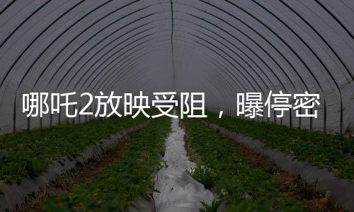 哪吒2放映受阻，曝停密鑰導(dǎo)致影院恐慌——解密風(fēng)波背后真相