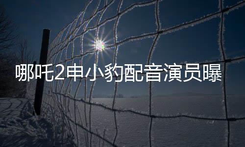 哪吒2申小豹配音演員曝光，新聲亮相備受矚目