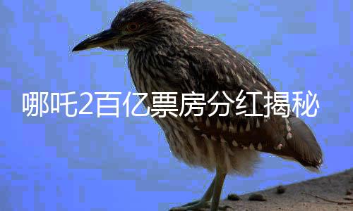 哪吒2百億票房分紅揭秘，深入解讀電影產(chǎn)業(yè)盈利分配機制