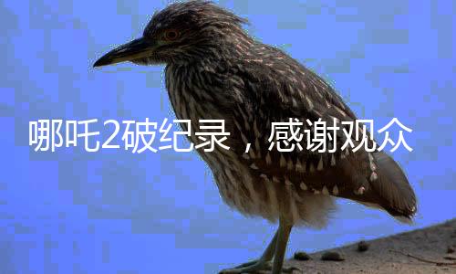 哪吒2破紀(jì)錄，感謝觀眾，一部神話造就的情感共鳴與視覺盛宴
