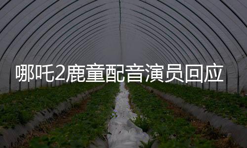 哪吒2鹿童配音演員回應(yīng)被罵瘋