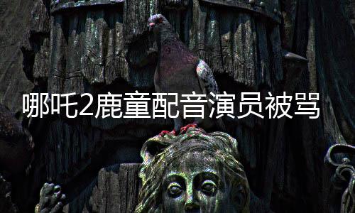 哪吒2鹿童配音演員被罵事件引發(fā)熱議