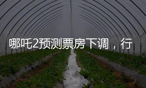 哪吒2預(yù)測(cè)票房下調(diào)，行業(yè)觀(guān)察與市場(chǎng)分析