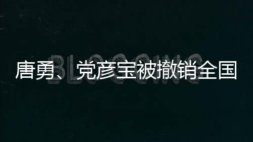 唐勇、黨彥寶被撤銷全國政協(xié)委員資格，事件背后的反思與啟示