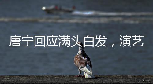 唐寧回應滿頭白發(fā)，演藝界的銀發(fā)生魅現(xiàn)象探討