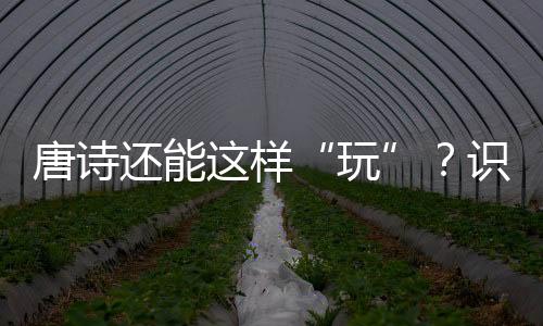唐詩(shī)還能這樣“玩”？識(shí)字教育也可“詩(shī)意滿(mǎn)滿(mǎn)”！