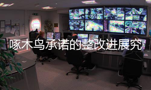 啄木鳥承諾的整改進展究竟如何？