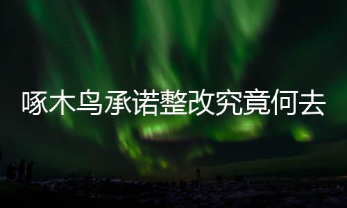 啄木鳥承諾整改究竟何去何從？揭秘背后的故事