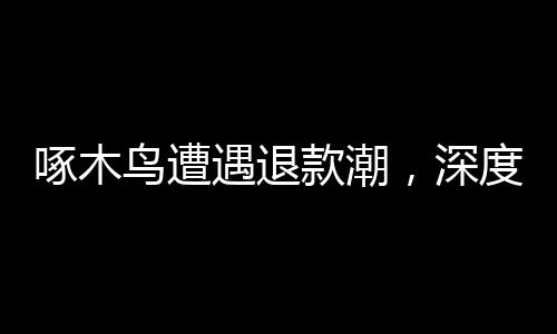 啄木鳥(niǎo)遭遇退款潮，深度探究背后的原因