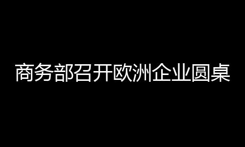 商務(wù)部召開歐洲企業(yè)圓桌會(huì)