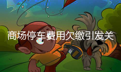 商場(chǎng)停車(chē)費(fèi)用欠繳引發(fā)關(guān)注，停車(chē)欠費(fèi)達(dá)2.4萬(wàn)