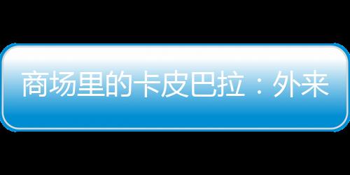商場(chǎng)里的卡皮巴拉：外來(lái)野生動(dòng)物成兒童新寵，暗藏風(fēng)險(xiǎn)