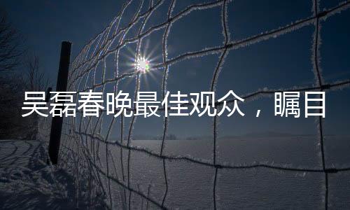 吳磊春晚最佳觀眾，矚目之處展現(xiàn)深度欣賞力