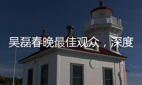 吳磊春晚最佳觀眾，深度解讀與精彩瞬間回顧